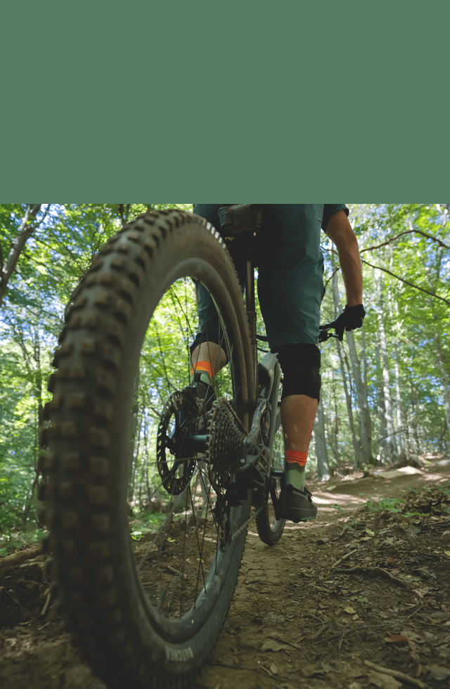 山も街も趣味になる一台を